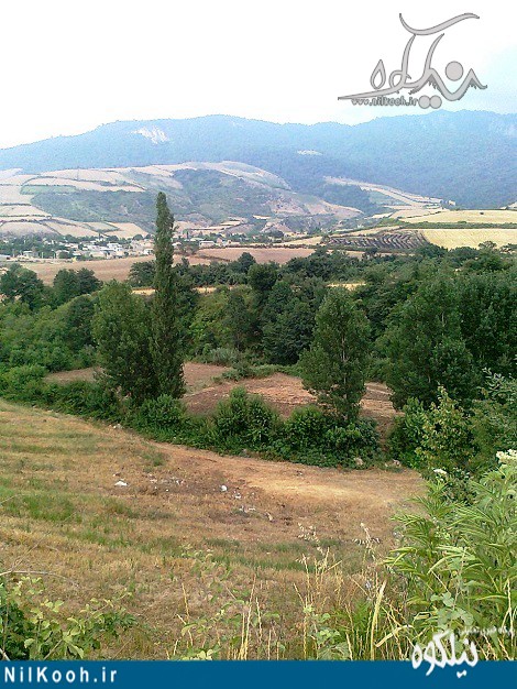 nilkooh627 1