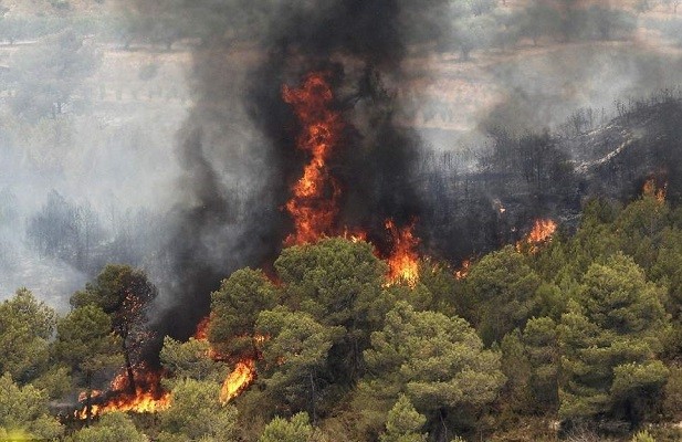 فصل سیلی آتش بر چهره طبیعت رسید/ عدم تحقق وعده وزیر ارتباطات در نصب سنسورهای اعلام حریق در پارک ملی گلستان